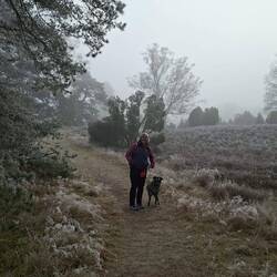 Frodo ist begeistert