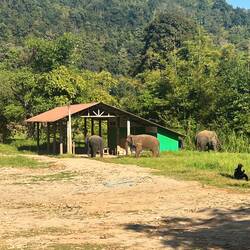 Ankunft im elephant sanctuary