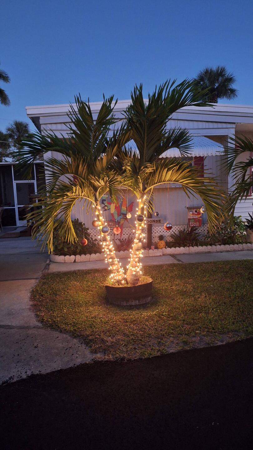 Weihnachten auf dem Campingplatz