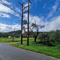 Der Baum kam wohl mal zu nah an die Leitungen...