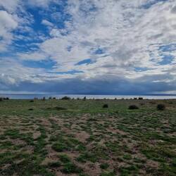 Über dem anderen Finger siehts noch sehr dunkel aus.
