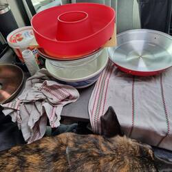 Nara hilft natürlich immer fleissig mit.