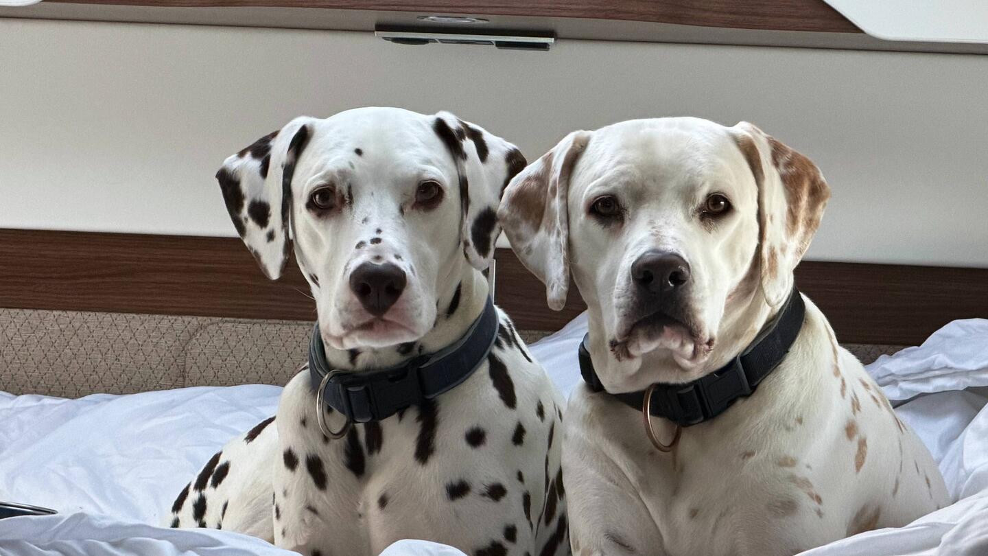 Psychologische Kriegsführung beim Frühstück