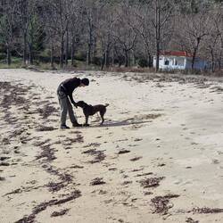 Und Anina packt es immer aus für die Prinzessin.