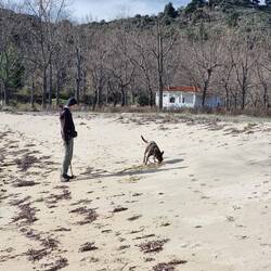 Im Sand lässt sich auch gut etwas verbuddeln
