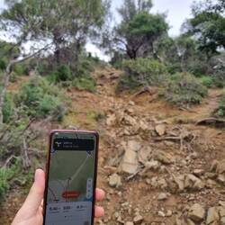 Alex hat eine Abkürzung gefunden...