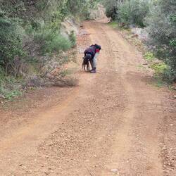 Nein, die darfst du nicht essen.