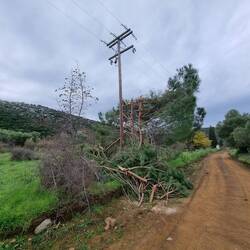 Ob das das Problem bereits behebt?