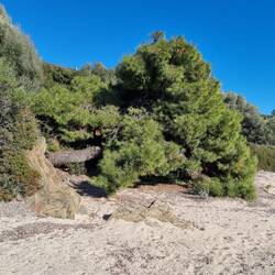 Da war jemand fest müde.