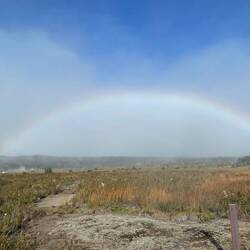 Und wieder ein Regenbogen über den heissen Quellen