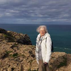 ...vom Winde zerzaust...