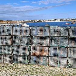 ...unzählige Fangkörbe