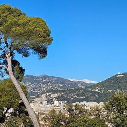 Da ganz hinten kann man einige schneebedeckte Seealpengipfel erkennen