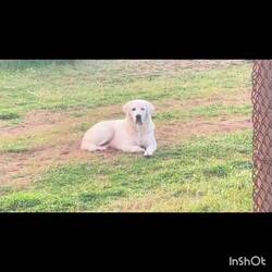 Guten Morgen aus Griechenland am nächsten Tag🙂🙃und jeden Morgen Fellnasenfütterung..🎥🍿