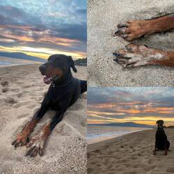 ..wir sind nun bereit für Weihnachten in Griechenland 🫶🌟🥰