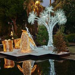 Unzählige Lichter ...