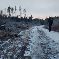 Die erste Stunde war es noch neblig...