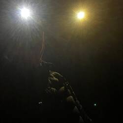 Die letzte Stunde mit Stirnlampe durch den Wald