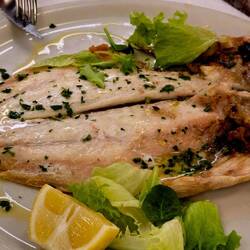 Excellent "Branzino". Hotel Al Veliero, Pontevico.