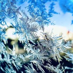 Bei -7 Grad wurde Berlin verlassen.