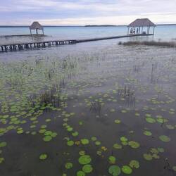 Another lagoon and lily pad view