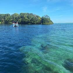 At the edge of Cenote Negro, where the sudden dropoff makes the water turn dark.