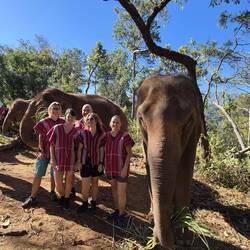 der Tag mit den Elefanten, war ein sehr schönes Erlebnis 🫶🐘🫶