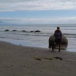 Moeraki Beach