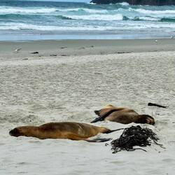 Chillen ist angesagt.....