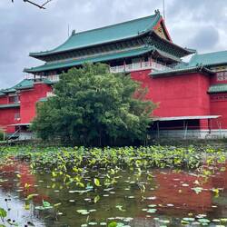 Der botanische Garten von Taipeh