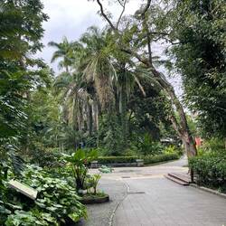 Mich hat man rausgeschmissen: Fahrräder sind verboten ( auch wenn man schiebt)