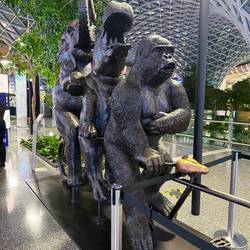 Airport Doha, die stärksten auf Reisen