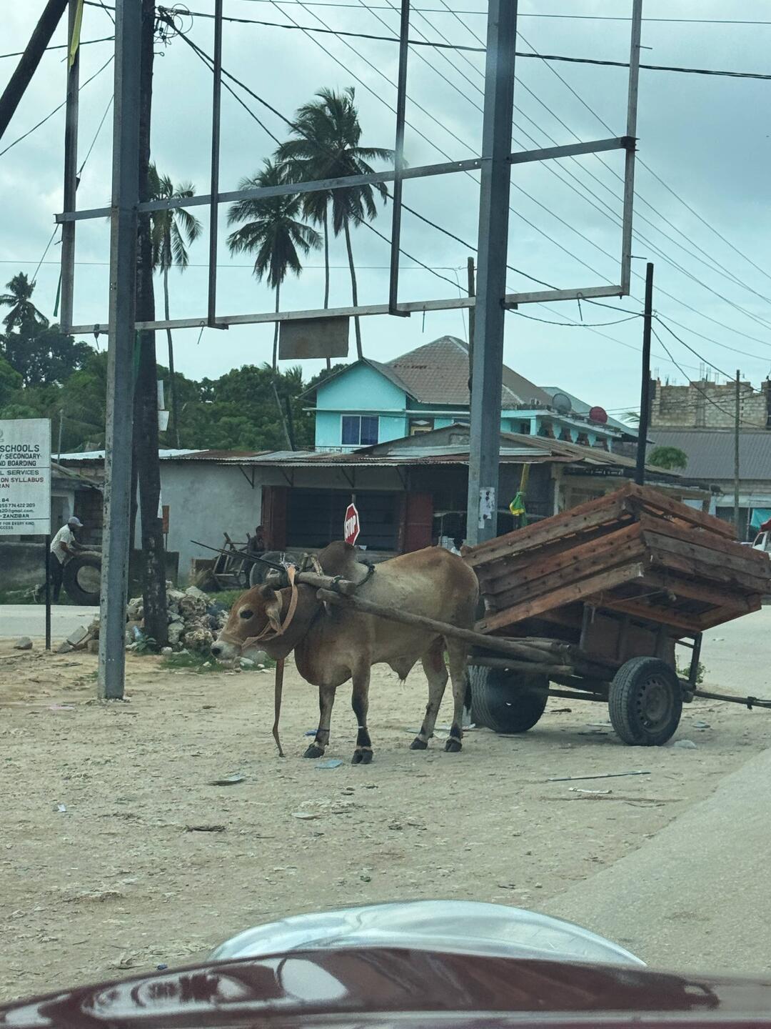 Das ist der Sansibar - Ferrari