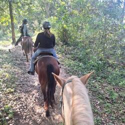 Horseback tour to the nearby Xunantunich Mayan ruins