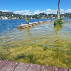Unfortunately the malecón has been flooded for the past 2 years