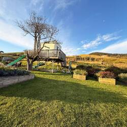 ..auch dieses Treehouse konnte man mieten 🤠🐈‍⬛