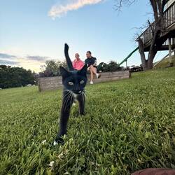 ...die Katze verfolgte uns😉🐈‍⬛