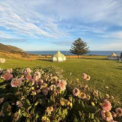 Lotus Belle Glamping-Zelt ⛺️