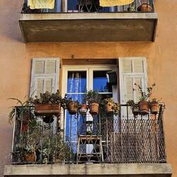 ... wollen entdeckt werden.