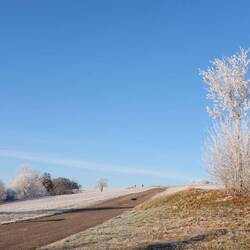 ....bei klirrender Kälte.