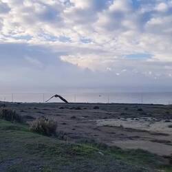 Manchmal ist der Falke noch schneller als ich