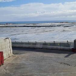 Und dann die grandiose Idee, durch Plastikplantagen zu laufen