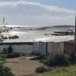 Aber schon viel Obst und Gemüse