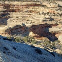 Eigentlich nur zu erahnen.
