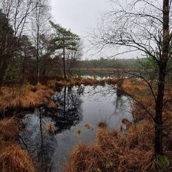 Wirklich schön idyllisch👍