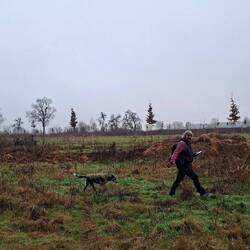Wo könnte der Weg sein?