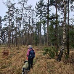 Hier waren schon andere auf der Suche🤔