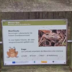 Quiz - und, hättet ihr es gewusst?