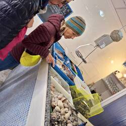 Tiniest fish shop ever...