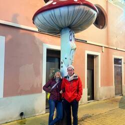 The famous mushroom street in Alicante
